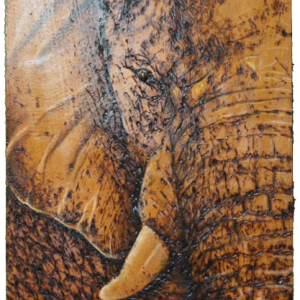 éléphant pyrogravure sur pièce de bois massif